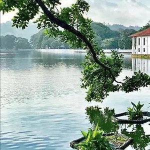 Charlton Rest 2* Канди